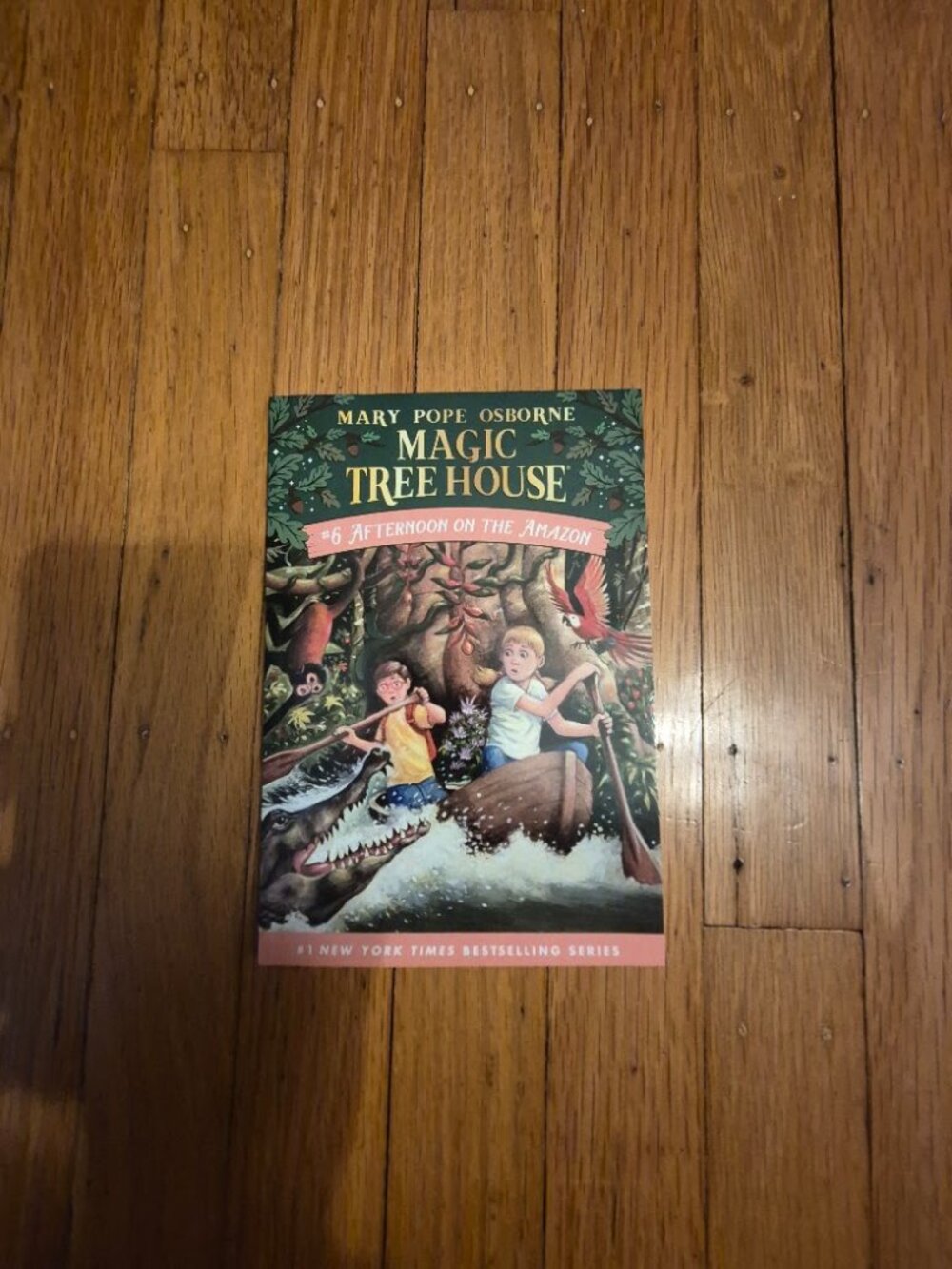 Magic Tree House #6 "Afternoon on the Amazon"